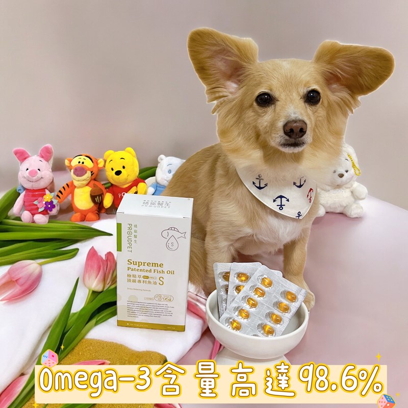 試用